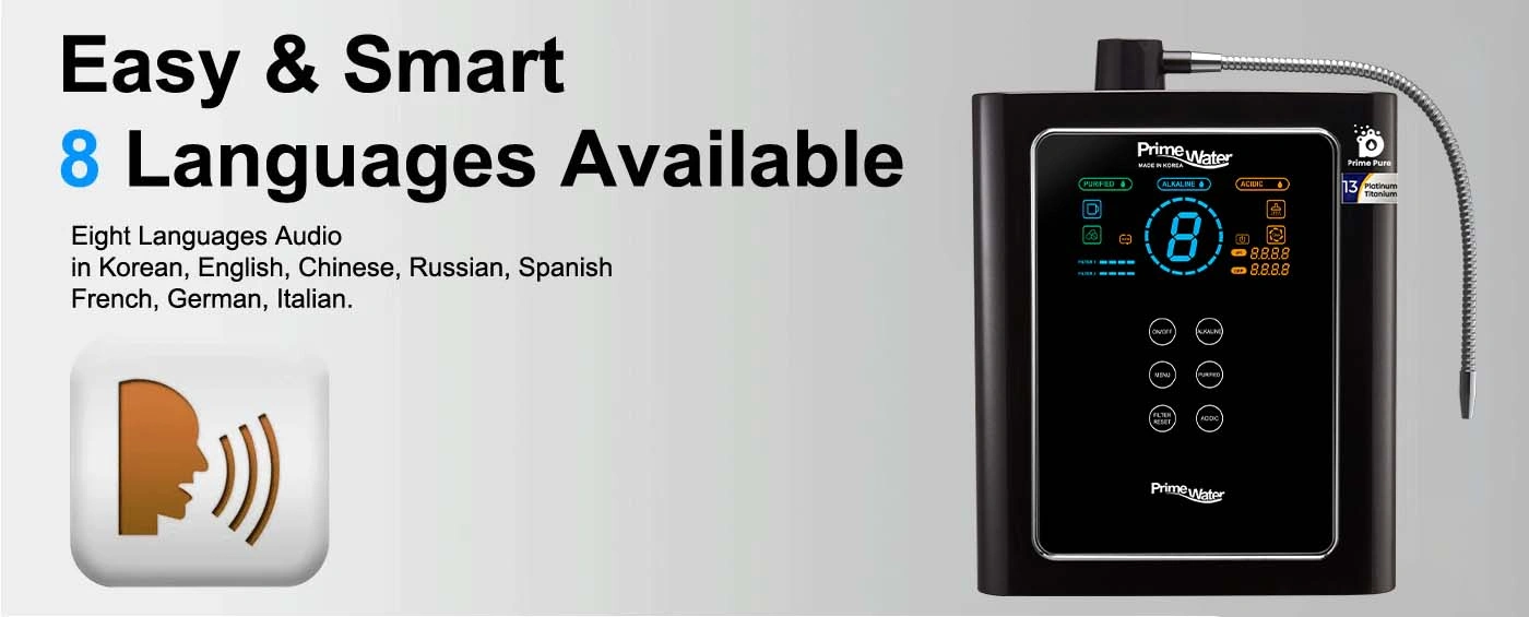 prime_r_voice-13-plate