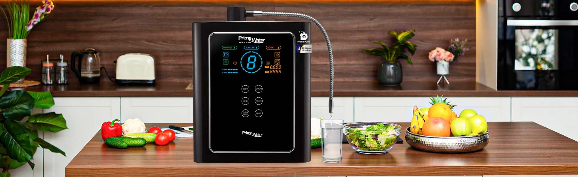Alkaline Water Ionizer – 13 Plate Model